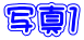 ʐ^P